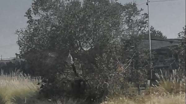 Sex in Chiled · XNXX.com.se Free Porn Online! 3GP MP4 Mobile Sex XXX Porno Videos!