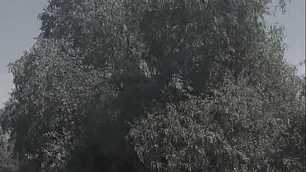 Sex in Chiled · XNXX.com.se Free Porn Online! 3GP MP4 Mobile Sex XXX Porno Videos!