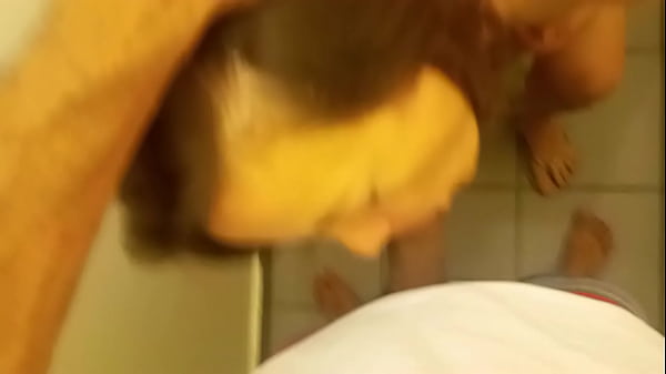 1276 - Blowjob and Fucking of a French Amateur in a Toilet, Dressed in Satin