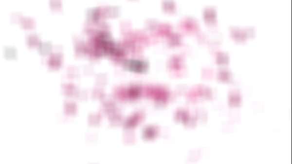 GIRLSRIMMING - Penelope's Rimjob Mania