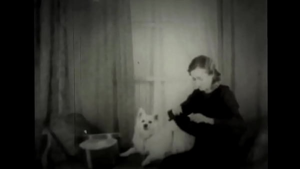 Dark Lantern Entertainment presents 'Beauty And The Beast'