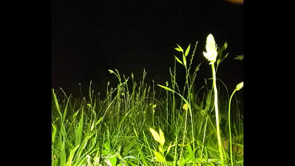 Dildo in nature! My ass seems to be happy, and it’s good to peck!