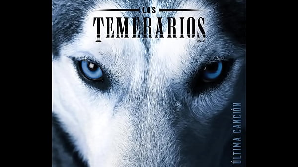 Daredevils Thumbnail