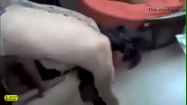 blach beauty Thumbnail