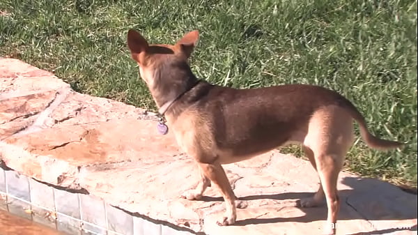 Vanessa Cage BTS Thumbnail