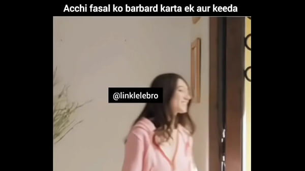 Verification video Thumbnail