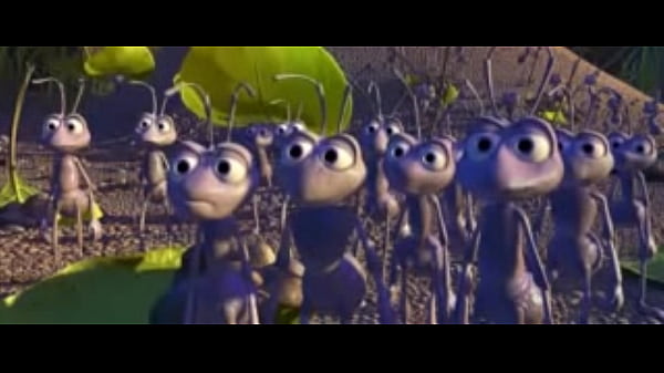 Verification video Thumbnail