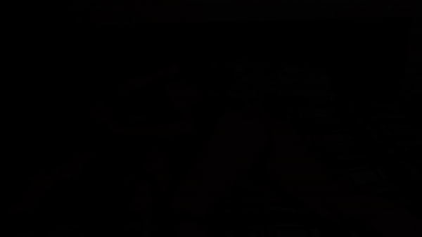 Трахнул эту крошку в ее сочную сладкую тугую киску, сделал креампи и продолжил трахать ее вагину - RedHot Fox