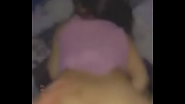 Amadora latina grossa