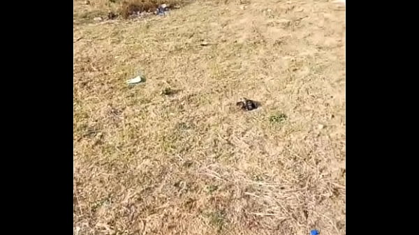 Outdoor pissing and public pissing on cage compilation