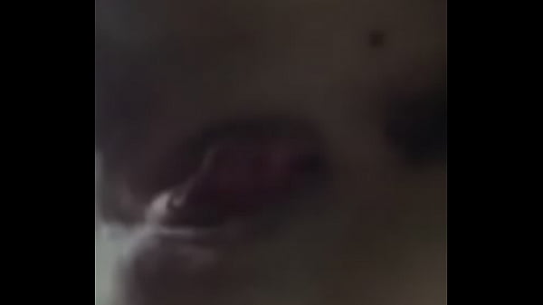 pretty pussy Thumbnail