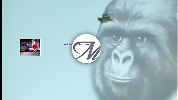 PURE BLOWJOBS Thumbnail