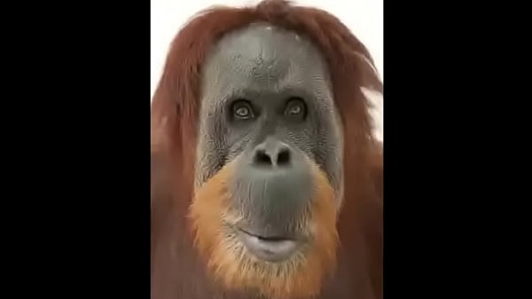 horny old man likes penis Thumbnail