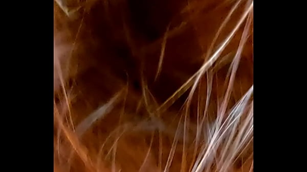 Verification video Thumbnail