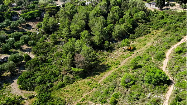 Look what my drone just caught!!!