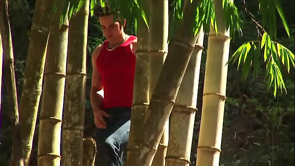 Outdoor Gay Fuck Fest – Part 2