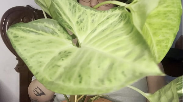 HELLO DEAR BIG NATURAL TIT WIGGLE Thumbnail