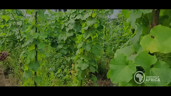 Bangnolly Africa - Beautiful African Maidens get quick outdoor blowjob