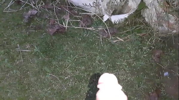 Traje a mi sobrinastro a la huerta apartada de la casa y logré que me follara el coño y se vino dentro de mi vagina