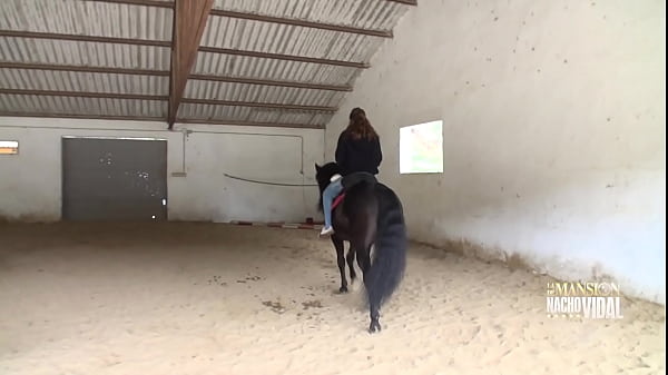 Resumen de la jornada en la mansión de Nacho