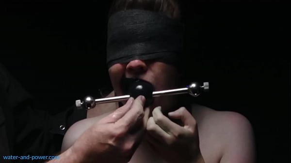 Bee Over the Barrel 1 of 2