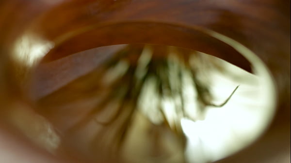 Lustful Lola Bredly Seduces Masseuse Into Filling Her Pussy GP2844