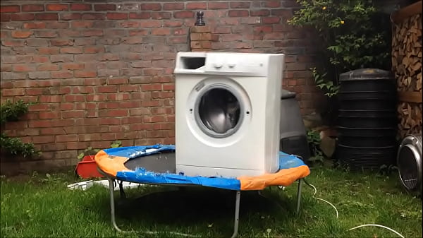 white and old bouncing on a brick in the yard Thumbnail