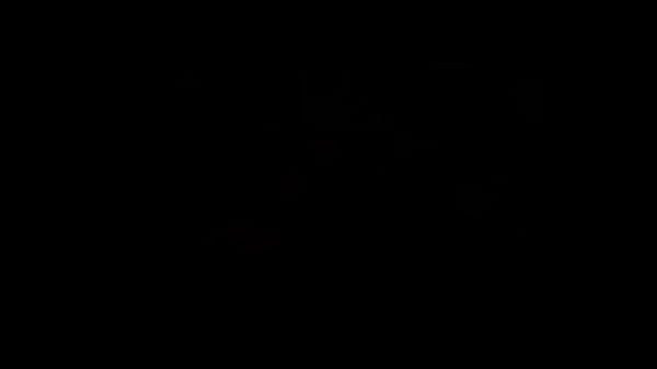 Niki3d hentai compilation