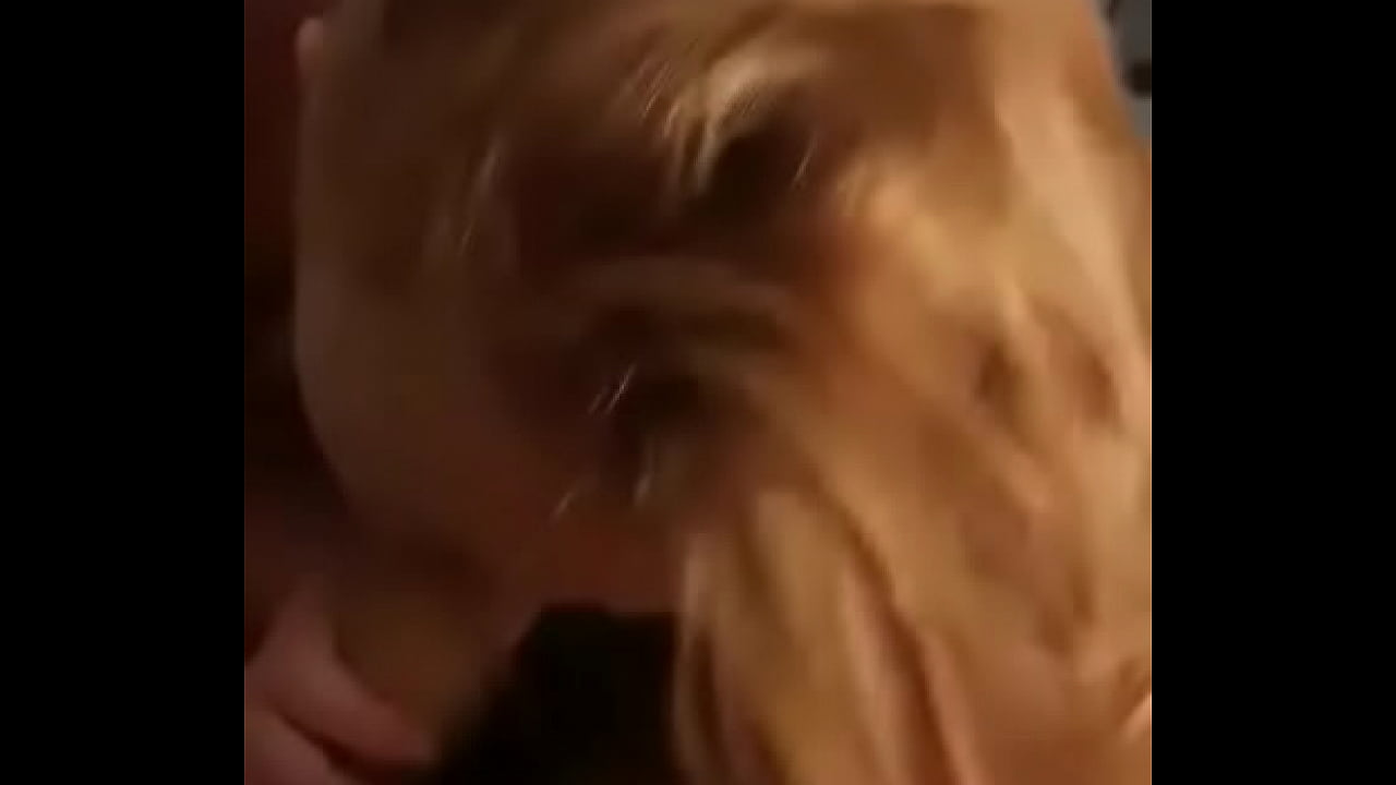 Blow job by a hot ginger