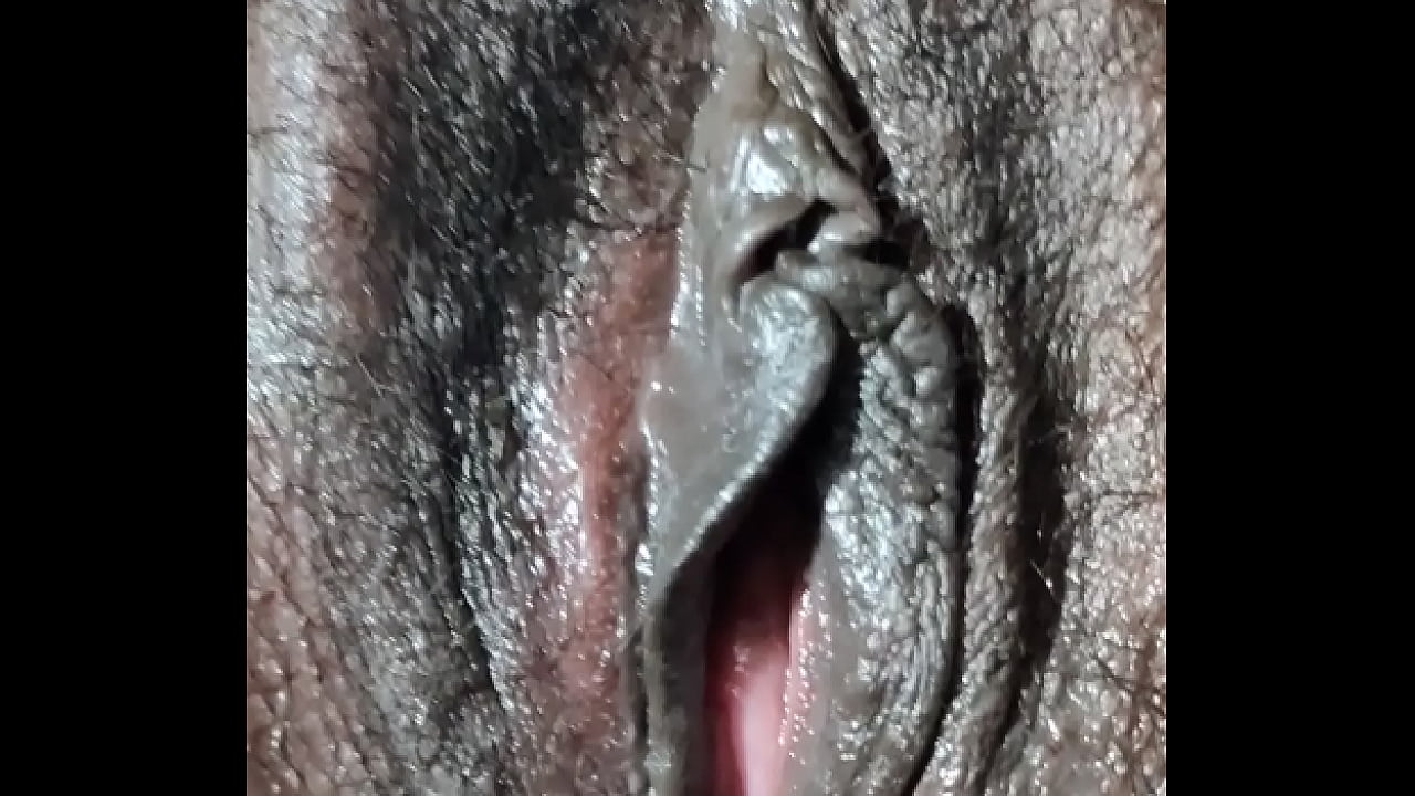 Free Pussy Closeup Pics Free Pussy Closeup Pics