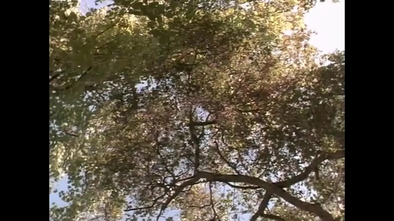Naked Girls Hd Video