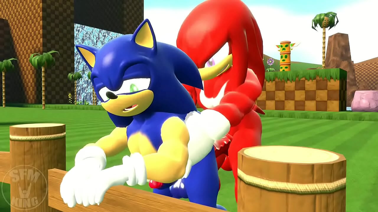 Sonic and knuckles porn