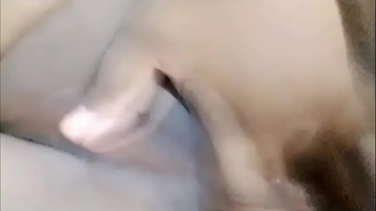 Amateur Blow Job
 Especial para mí nv Top Xvideos - Jav.imhentai.info