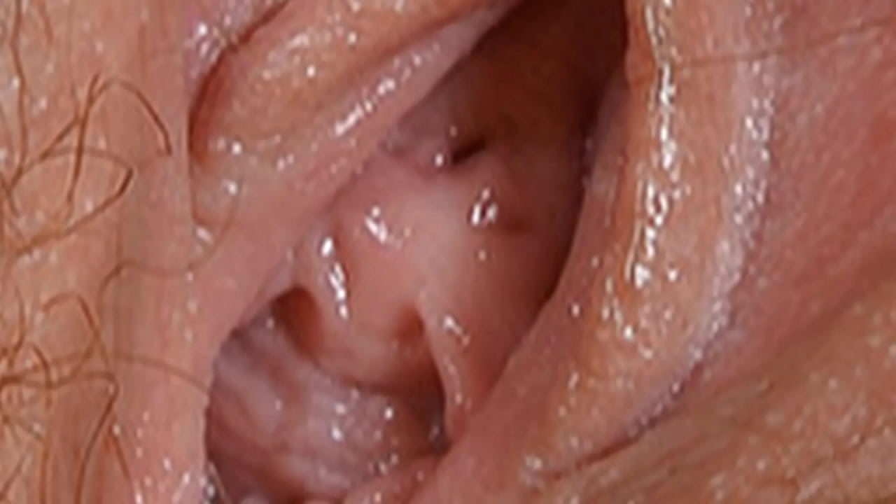 Vagina Close Up Pics Vagina Close Up Pics