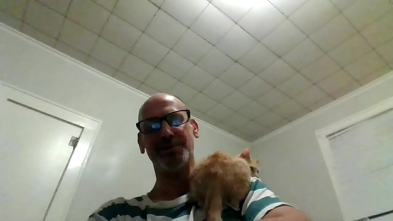 Tommy writing with cats????? XXX Videos Porn & Jav - PORN.9LOAD.COM