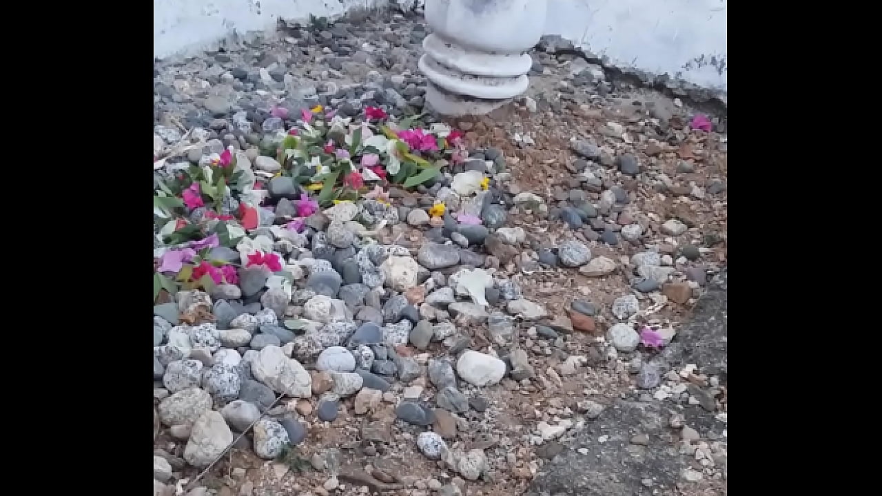 Video bokep tante toge di entot sampai nagis