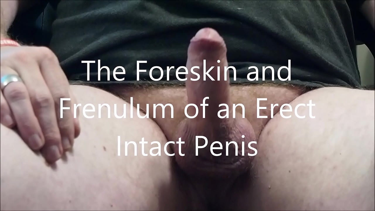 Videos of erect penises