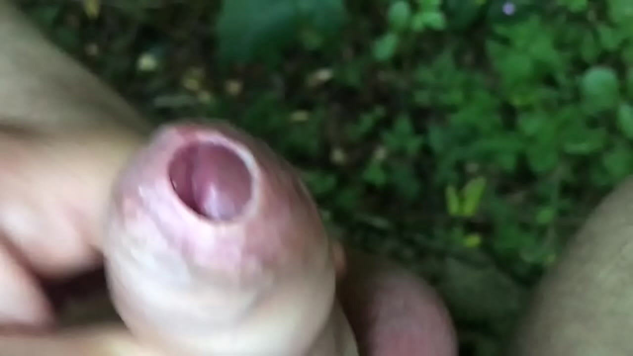 Outdoor Cumshots Outdoor Cumshots