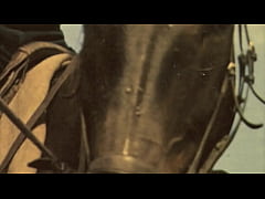  - Vintage Babes With Pets