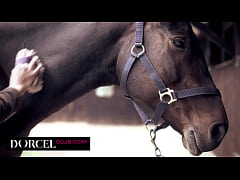  - Hot sex in the stables