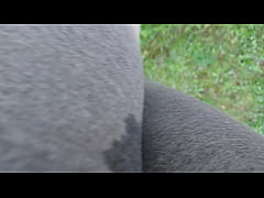  - In a public park your stepsister can't hold back and pisses herself completely, wetting her leggings