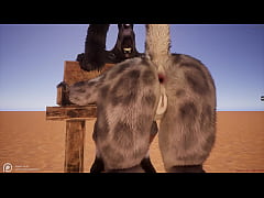  - Wild Life Furry Hentai