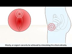  - The female orgasm explained