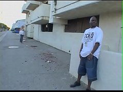  - To pamper his neighbor, he comes with his friends ...