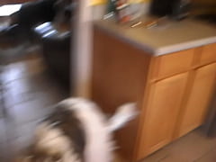  - 068.AVI