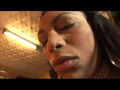  - Hunters of pretty shemales Vol. 27