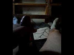  - Cabeza lechera
