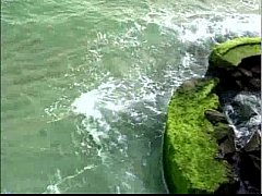  - The men from ipanema (walter soares)