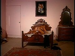  - VCA Gay - Jumper - scene 4