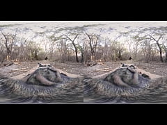  - VR PORN-Hot Brunette Fuck in the ass and cum hard!